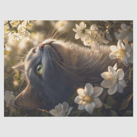 Russisch Blauwe Kat Witte Bloemen Decoupage Tissuepapier (Voorkant)
