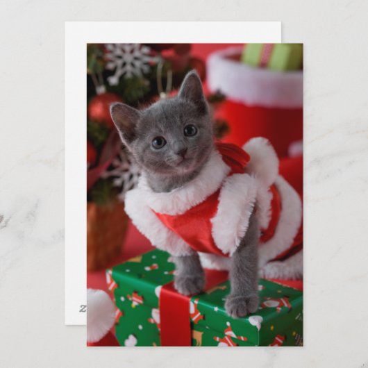 Russisch Blauwe Keuten en Kerstmis 2 Feestdagenkaart (Voorkant / Achterkant)