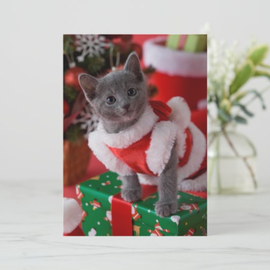 Russisch Blauwe Keuten en Kerstmis 2 Feestdagenkaart (Staand voorkant)