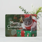 Russisch Blauwe Keuten en Kerstmis Feestdagenkaart (Staand voorkant)