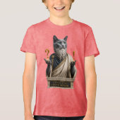 Russisch Blauwe Socrates Kat Tri-Blend Shirt (Voorkant)