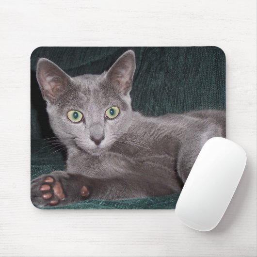 Russisch Blue Kitten Mousepad Muismat (Met muis)