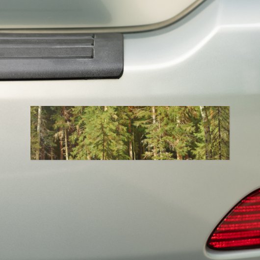 Russisch bos (Rustisch landschap) (Groene Bossen) Bumpersticker (Op auto)