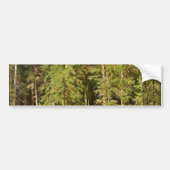 Russisch bos (Rustisch landschap) (Groene Bossen) Bumpersticker (Voorkant)