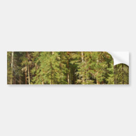 Russisch bos (Rustisch landschap) (Groene Bossen) Bumpersticker