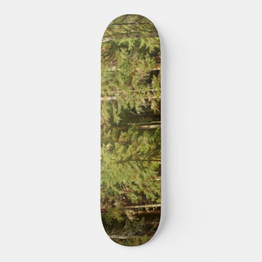 Russisch bos (Rustisch landschap) (Groene Bossen) Persoonlijk Skateboard (Voorkant)