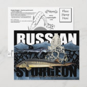 Russisch Briefkaart van de Sturgeon Collage (Voorkant / Achterkant)