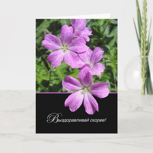 Russisch haal goed Cranesbill Geraniums Kaart (Voorkant)