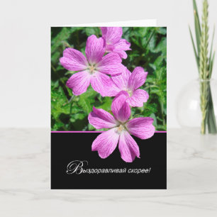 Russisch haal goed Cranesbill Geraniums Kaart