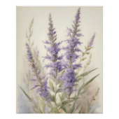 Russisch Sage Perfect Poster (Voorkant)