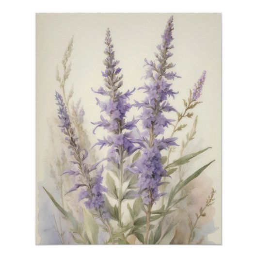 Russisch Sage Perfect Poster (Voorkant)