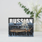 Russisch Sturgeon Briefkaart (Staand voorkant)