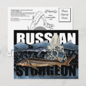 Russisch Sturgeon Briefkaart (Voorkant / Achterkant)