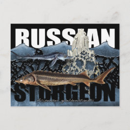 Russisch Sturgeon Briefkaart