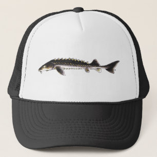 Russisch Sturgeon Pet