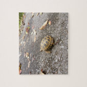 Russisch tussenproduct van de schildpad legpuzzel (Verticaal)