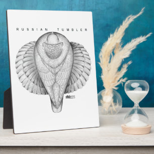 Russisch Uitzicht met toppen Fotoplaat