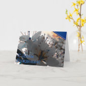 Russische Birthday-kaart met Cherry Flowers Kaart (Gele Bloem)
