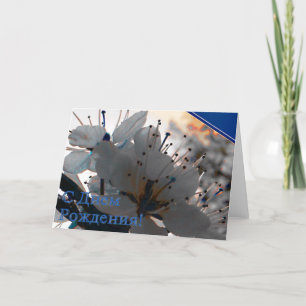 Russische Birthday-kaart met Cherry Flowers Kaart