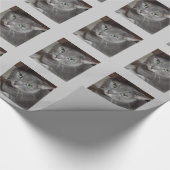 Russische blauwe grijze kat cadeaupapier (Hoek)