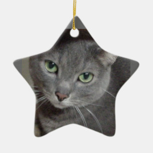 Russische blauwe grijze kat keramisch ornament