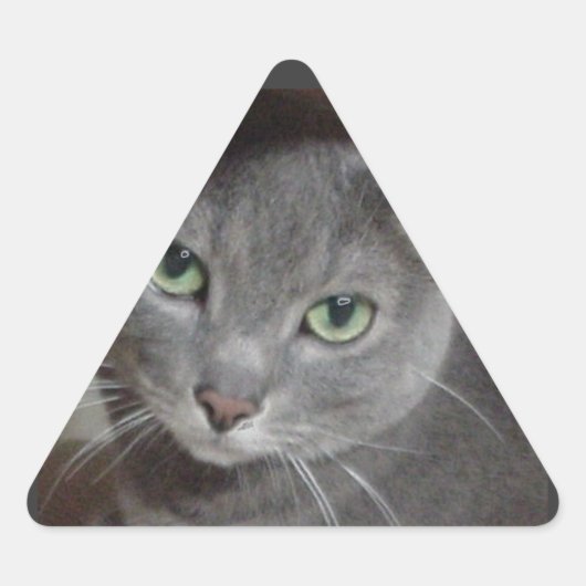 Russische blauwe grijze kat sticker (Voorkant)