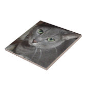 Russische blauwe grijze kat tegeltje (Zijkant)