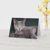 Russische Blauwe Kaart (Gele Bloem)