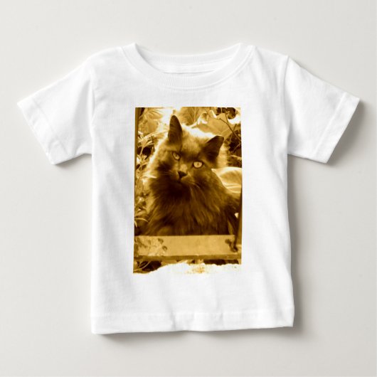 Russische blauwe kat (Voorkant)