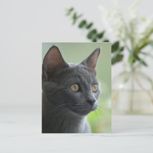 Russische blauwe kat briefkaart (Staand voorkant)