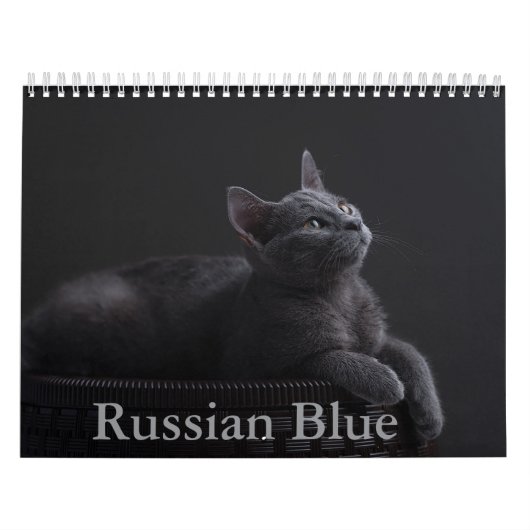 Russische blauwe kat kalender (Hoes)