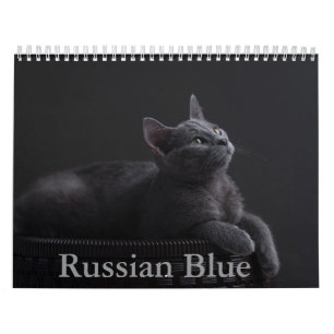 Russische blauwe kat kalender