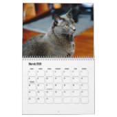 Russische blauwe kat kalender (Mar 2026)