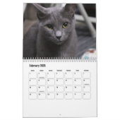 Russische blauwe kat kalender (Feb 2026)