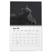 Russische blauwe kat kalender (Jan 2026)