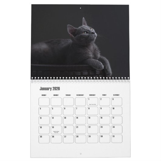 Russische blauwe kat kalender (Jan 2026)