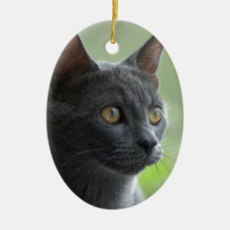 Russische blauwe kat keramisch ornament