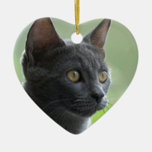 Russische blauwe kat keramisch ornament (Voorkant)