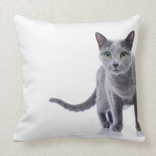 Russische blauwe kat kussen