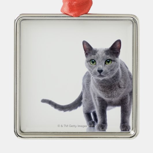 Russische blauwe kat metalen ornament (Voorkant)