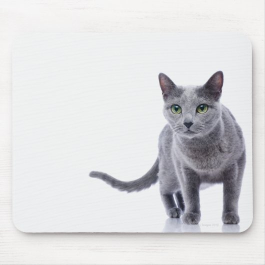 Russische blauwe kat muismat (Voorkant)