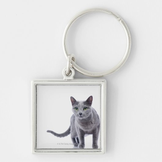 Russische blauwe kat sleutelhanger (Voorkant)