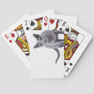 Russische blauwe kat speelkaarten