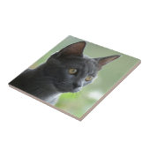 Russische blauwe kat tegeltje (Zijkant)