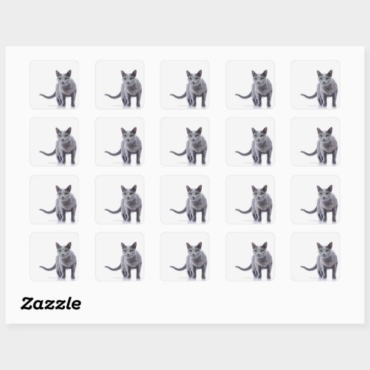 Russische blauwe kat vierkante sticker (Vel)