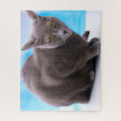 Russische blauwe katten. legpuzzel (Verticaal)