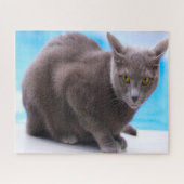 Russische blauwe katten. legpuzzel (Horizontaal)