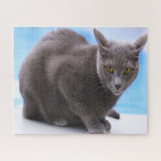 Russische blauwe katten. legpuzzel (Horizontaal)
