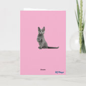 russische blauwe kegel kaart (Achterkant)