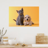 Russische blauwe keuken en dachshund puppy poster (Keuken)